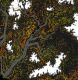 Eno � must correspond in pattern � 10''
