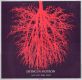 Dying in Motion � Wie wir laut sind � LP
