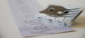 We fade to grey � the sound of trees talking � Tape